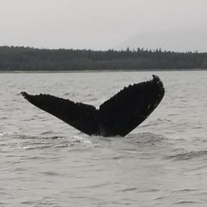 Meet your Posher, Paulette